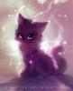 Pipel cat