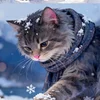 Миоолрчааннек678