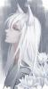 The_Evil_Fox