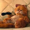 Garfields Mom