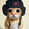 Kitcat_Twix
