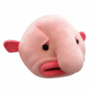 uke_kitthey