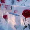 Frosty Day