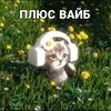 Ssskaay