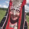 pollyhha