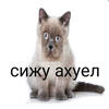 .Чай с мятоЙ.