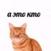 chofi.fi