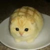 Дипломированный Бредогенератор