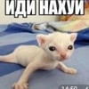 Ру_Канцеров.