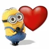fayn.n