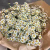 Мисс Лектор