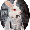 Vulgar_Rabbit