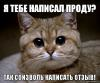 CrAzZzY_cAt_