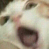 Sosatochko