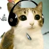 etdzch