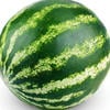Judoudo