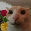 Пушистый тапочек