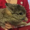 7 слэшей