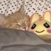 _zelda_