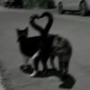 melix_