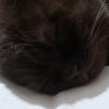 Aeyes
