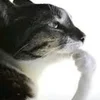 люблю пирожки