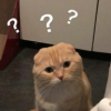 notsoberry