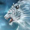 ladyhawke 38