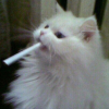 stifff