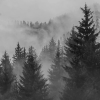 _Julia