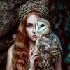 Сова Афины