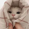 Просто Джерри