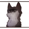 Маленький Котяра