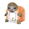 булочка но не с корицей