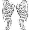 TSNata