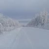 Valeri_336