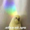 Jetm67