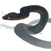 Serpent-san
