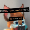 Кора Драгоций