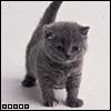 TaniaK