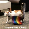 Адриана Соколова