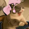 Lilush_ka