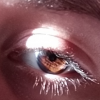 sunny.eye