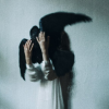 WhiteBird_4117_kar