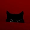 jiji addams