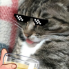 Nonoodle