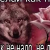 Осенний листик клёна