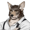 alertcoyote