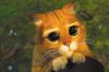 Alvin