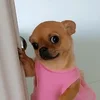 qwuwr